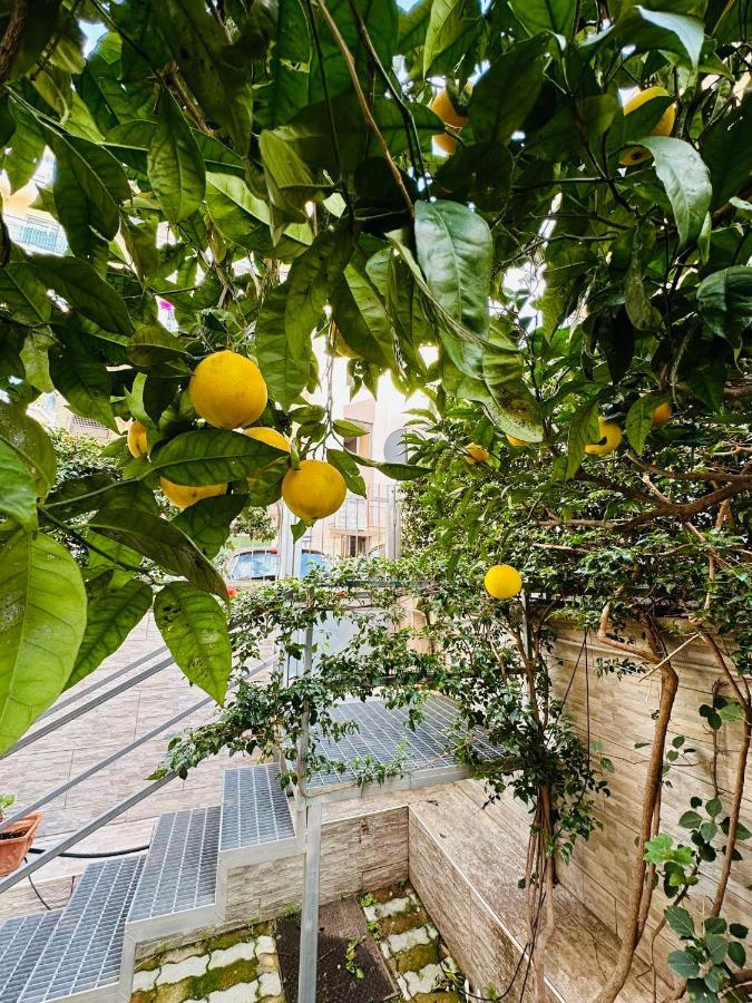 Ferdirisa Vesuvio Home&Garden San Giorgio a Cremano Bagian luar foto